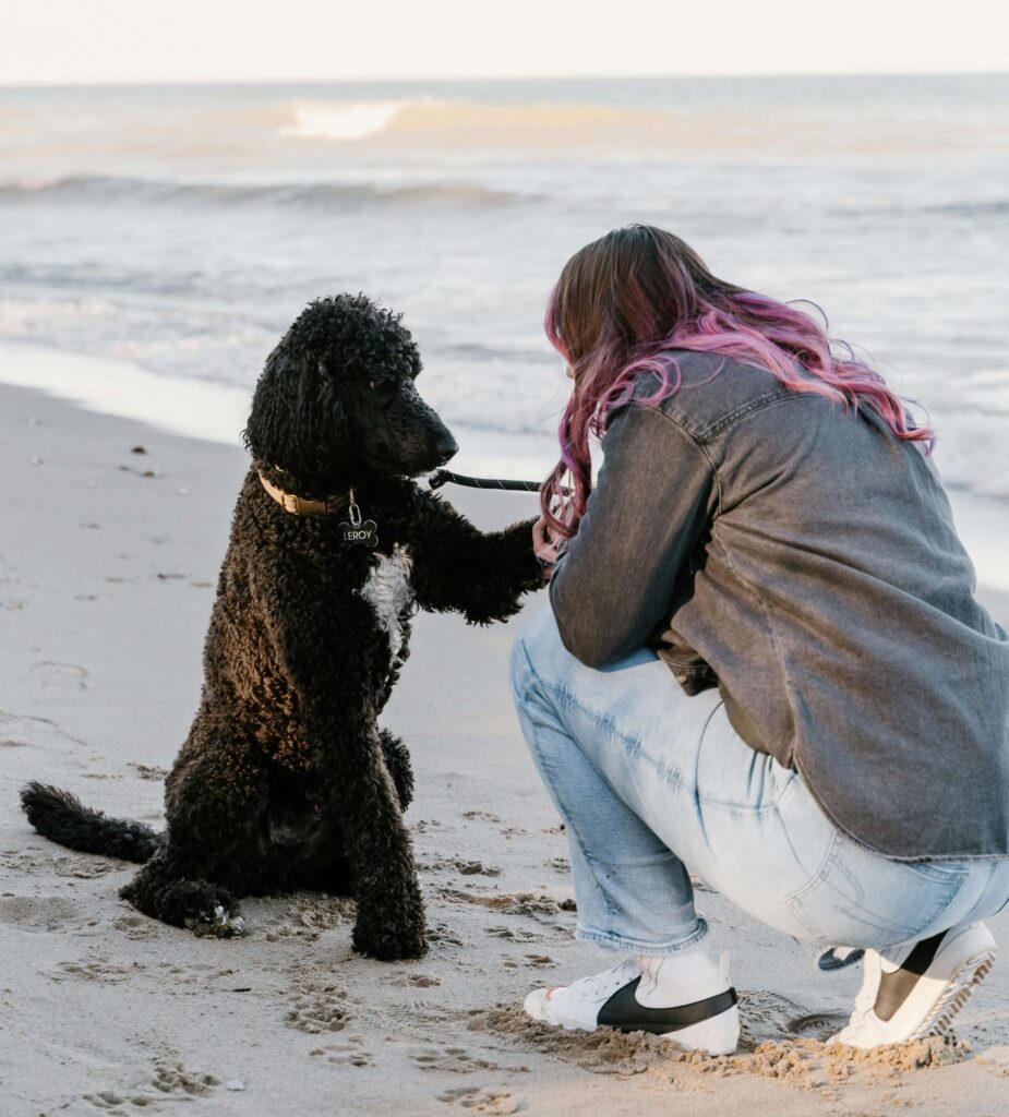 mulher com seu poodle standard preto em uma praia