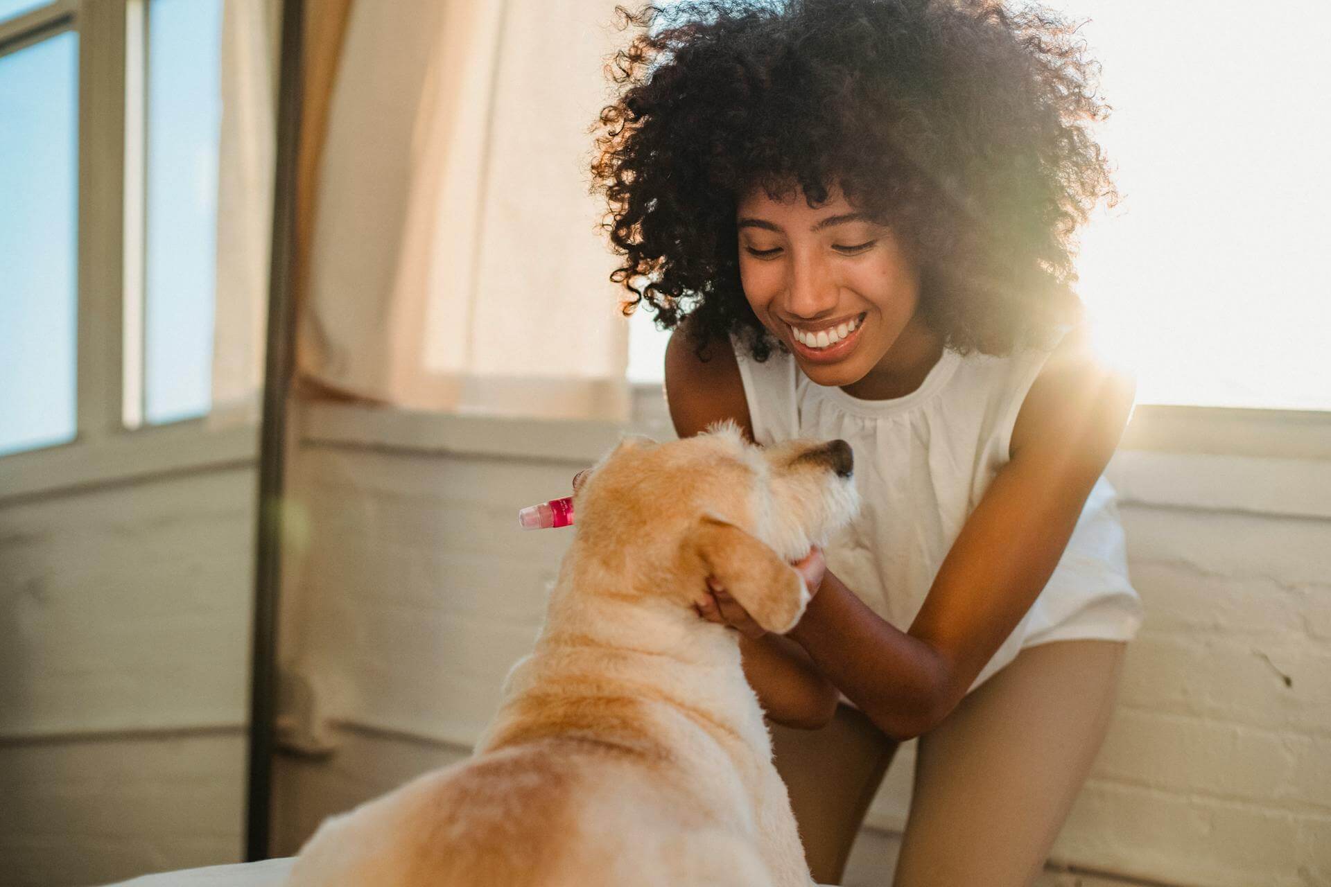 castra cadela uma mulher feliz brincando com seu cachorro dentro da sua casa